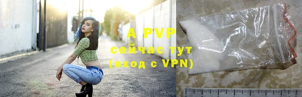 дмт Богородицк