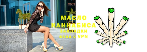 дмт Богородицк