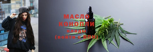 дмт Богородицк