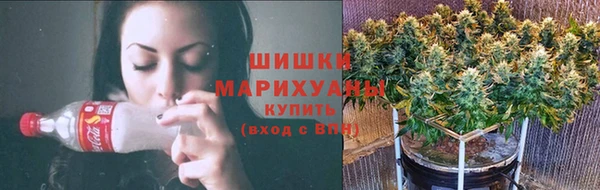 бутират Богданович